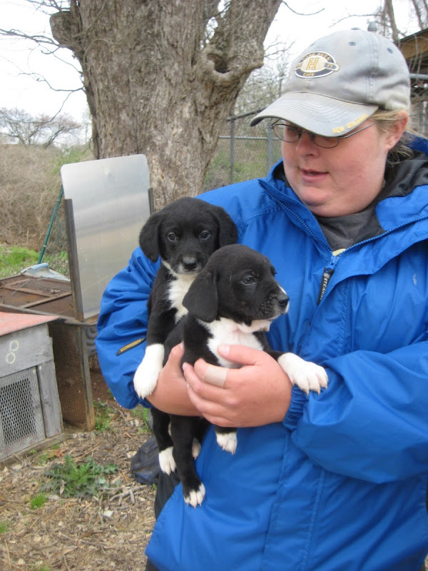 Winona, MS Pound Rescue
